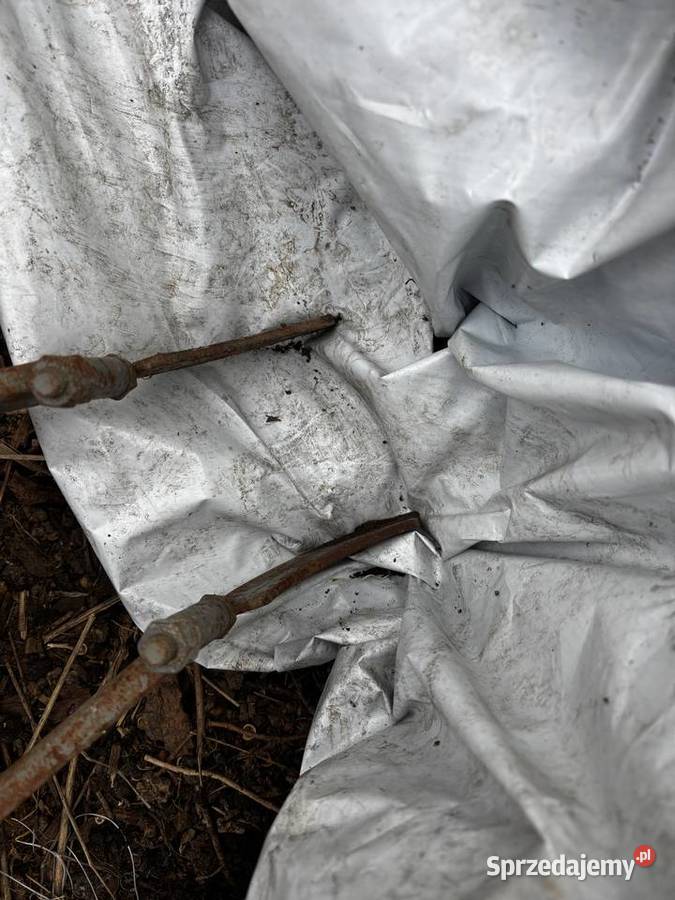 Siewnik do buraków Gamma wielkopolskie Czermin