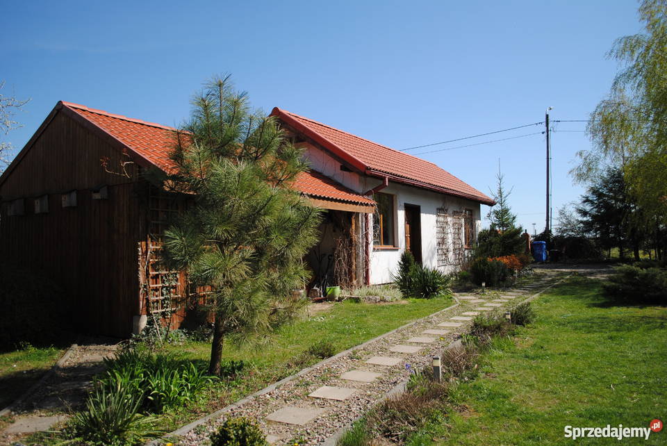 dom z dużym ogrodem garaż Janikowo