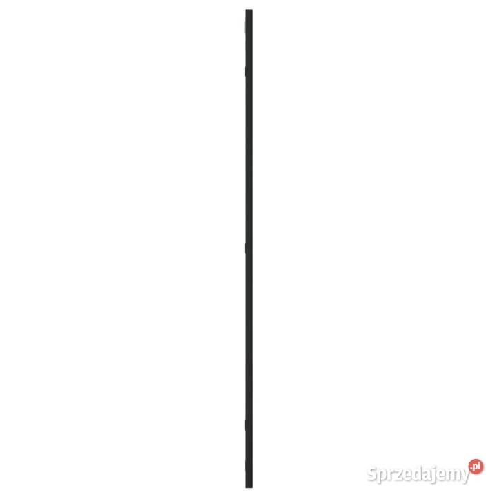 vidaXL Lustro ścienne czarne 60x100 SKU358631
