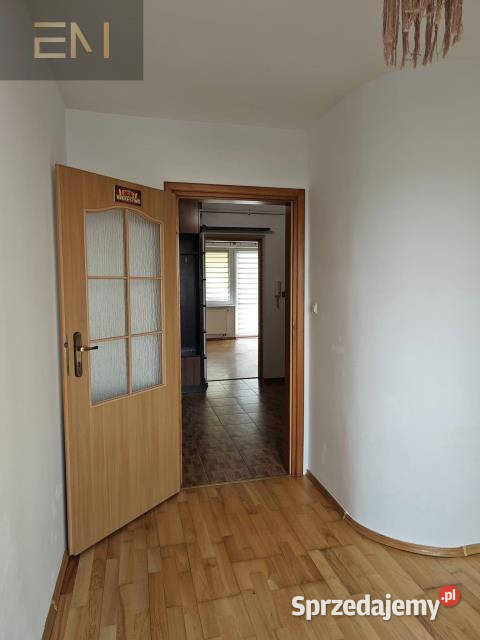 wynajmu mieszkania 4861m2 2pokojowe Strzyżów