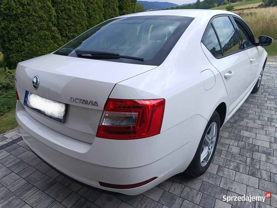 Skoda Octavia 2019 Octavia