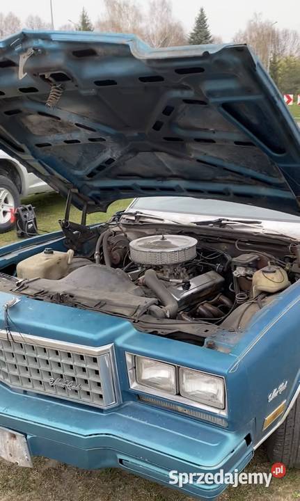 Chevrolet Monte Carlo 57 1980 Monte Carlo Krzczonów-Wójtowstwo sprzedam