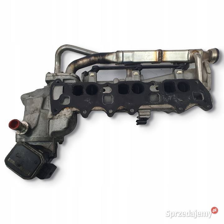 KOLEKTOR SSACY Mercedes W251 W211 W219 W164 30 lubelskie Chełm