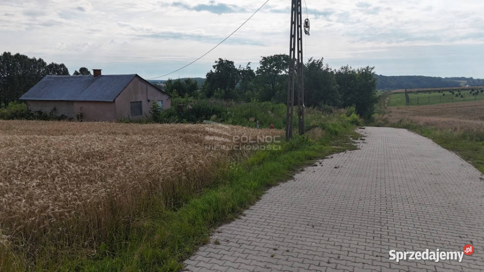 Sprzedam siedlisko w Bożej Woli gm Adamów siedliskowa Sprzedaż Boża Wola