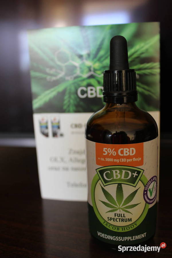 Jacob Hooy CBD Olejek 5 100ml łódzkie Łódź