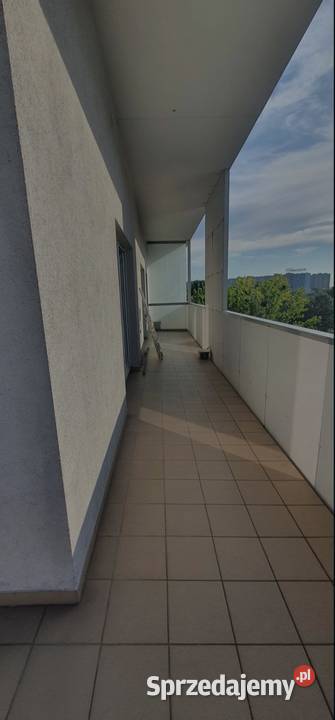 Wynajmę mieszlanie Inflancka 20 60m2 Poznań sprzedam