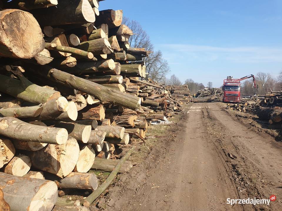 drewno opałowe dolnośląskie Świdnica Polska sprzedam