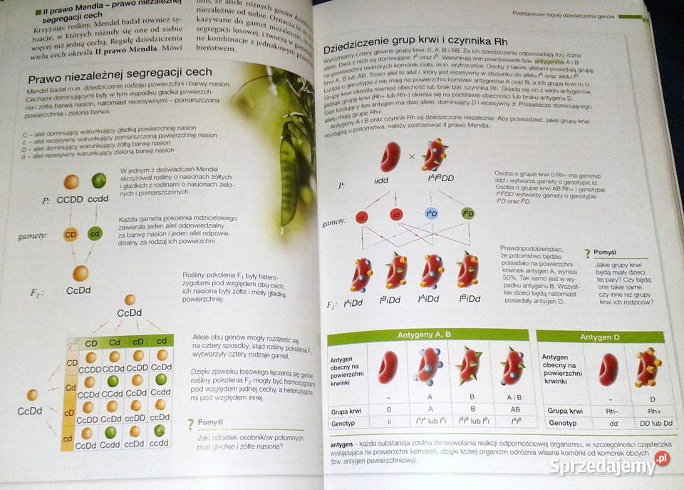 Biologia na czasie Emilia Bonar S Czachorowski Rok wydania 2016 Pozostałe lubelskie