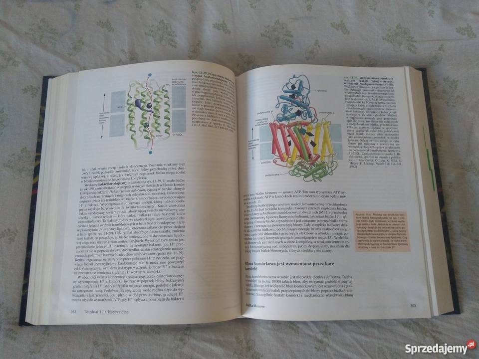 PODSTAWY BIOLOGII KOMÓRKI biologia molekularna 1 biologia, ekologia Książki naukowe i popularnonaukowe
