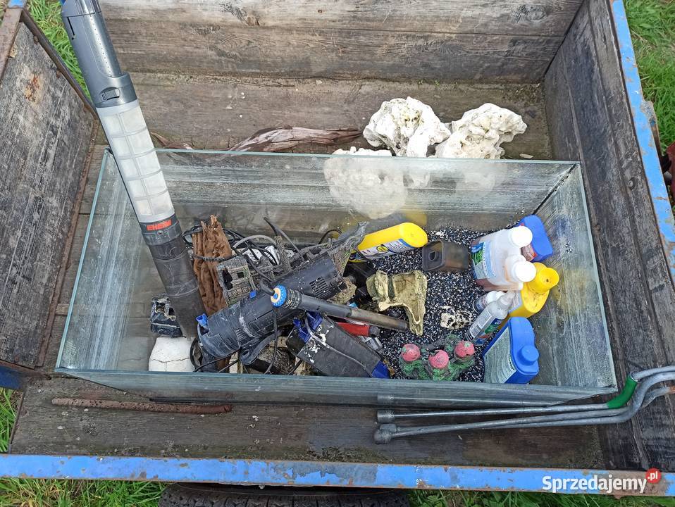 Akwarium z wyposażeniem Strzyżewo