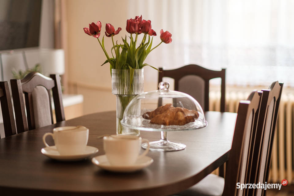 Dom na wsi z dużą działką i ogrodem Dalborowice