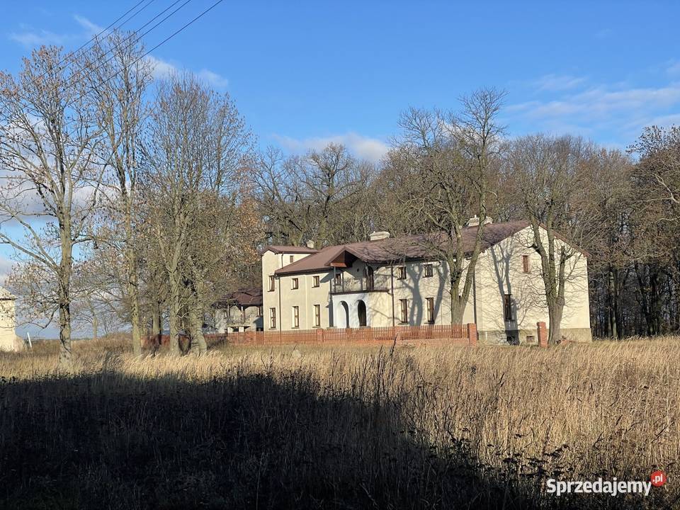 Wynajmę dworek hotel na dom seniora szkółka Ilość pomieszczeń 30 Pawonków
