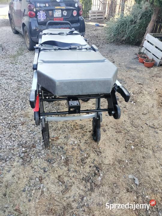 nosze kartsana Drągowina