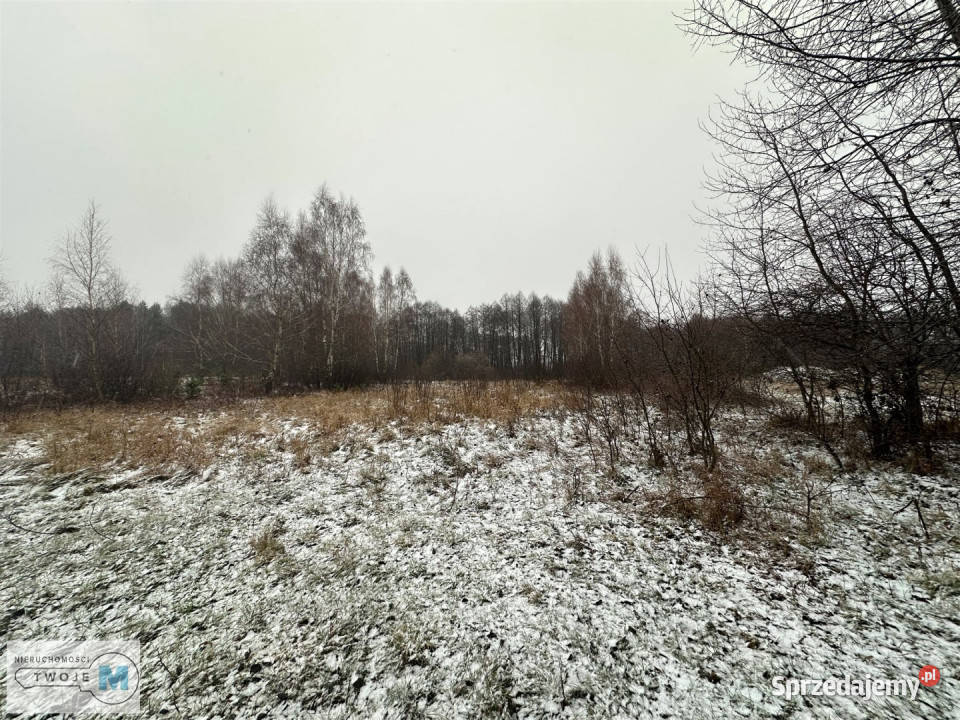 Sprzedaż działki Śladków Duży 43100m2