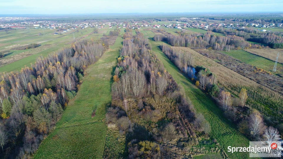 sprzedaży działki DereźniaZagrody 12700m2 lubelskie Dereźnia-Zagrody sprzedam