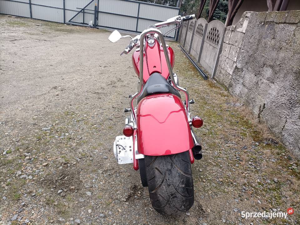 Harley Big Dog Mastiff Padniewko