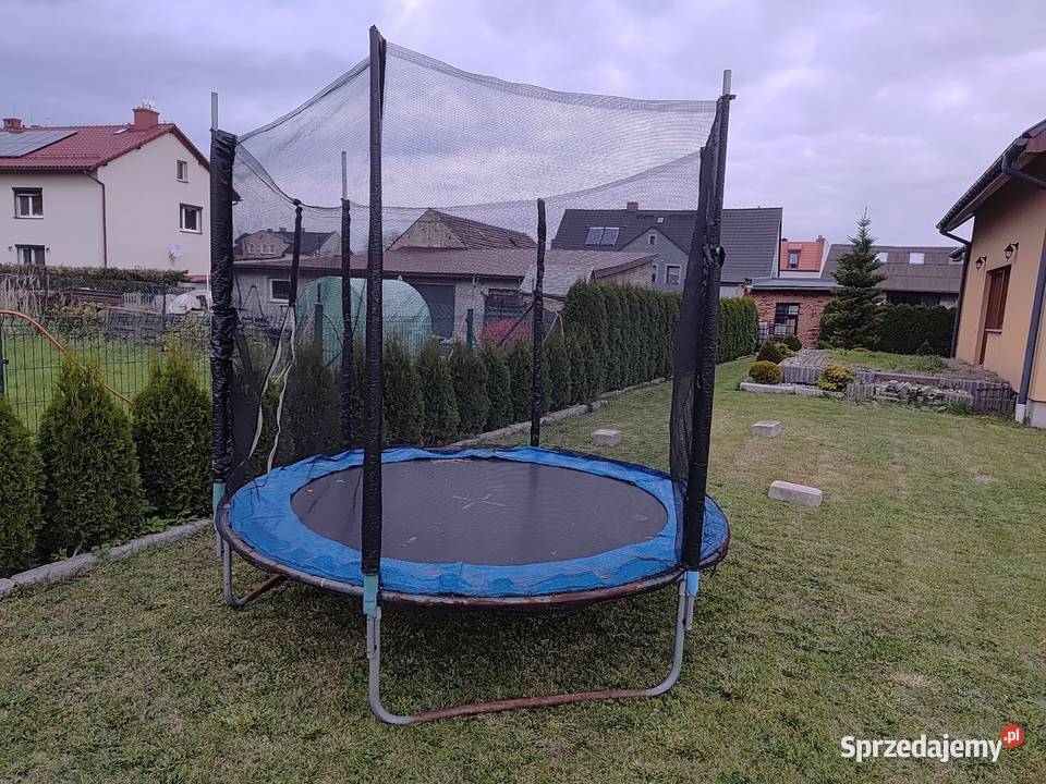 Trampolina dzieci Zabrze