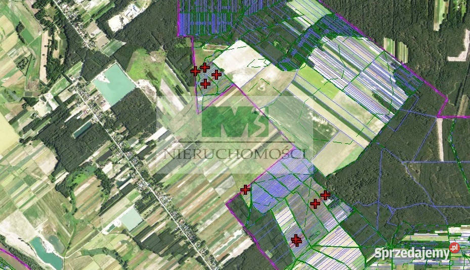 DO SPRZEDAŻY DZIAŁKI ROLNE W KULNIE Grunty i działki sprzedam