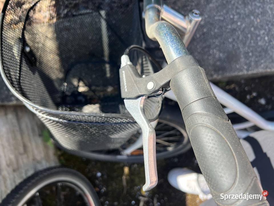 Rower Damski lubuskie