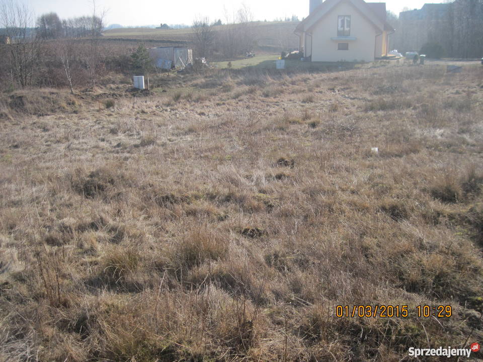 SPRZEDAM DZIAŁKĘ ZAŁĘŻE KPRZODKOWA Przodkowo