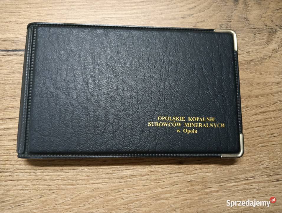 Etui na wizytówki Lewin Brzeski