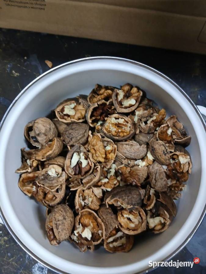 Łuparkałuskarka do orzechów Pruchnik