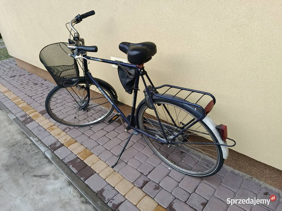 Rower holenderski batavus