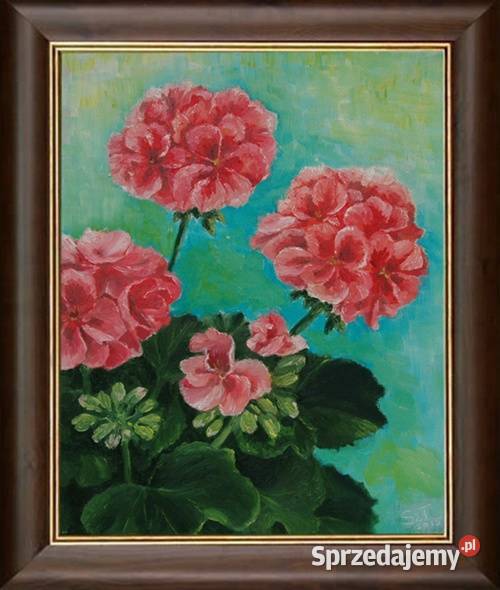 Obraz olejny Pelargonie