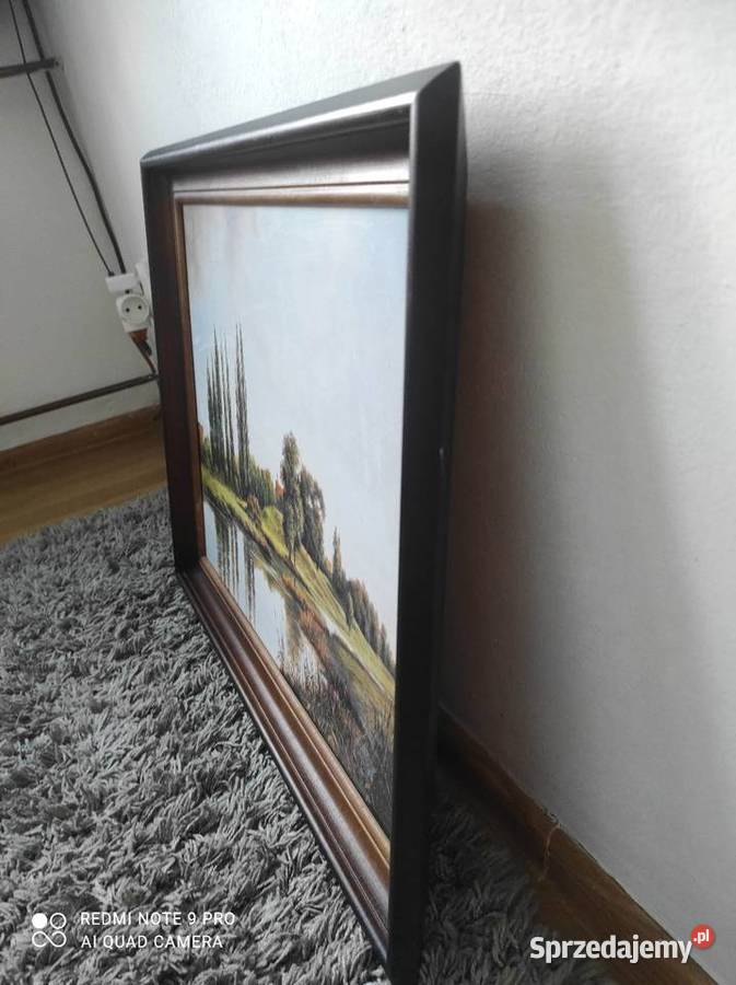 Piękna reprodukcja pejzażu 4050 staw topole śląskie Czechowice-Dziedzice
