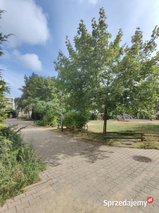 Bezpośrednio mieszkanie Umultowska 81m2 4pokoje Liczba pokoi 4 Mieszkania Poznań