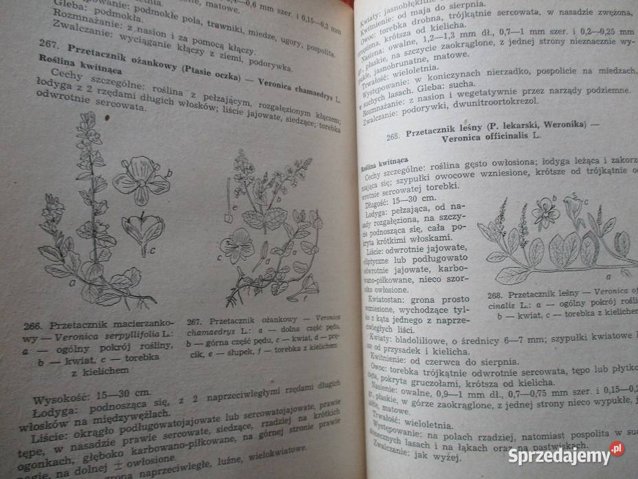 Krajowe chwasty polne i ogrodowe Mowszowicz 1955 chemia, biochemia Łódź