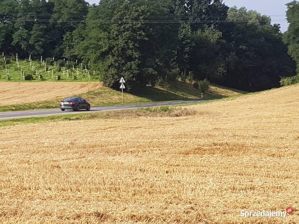 Sprzedam atrakcyjną działkę w granicach Strzegom