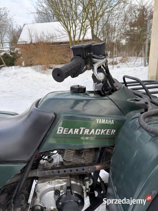 Quad bear tracker 250 Łuków