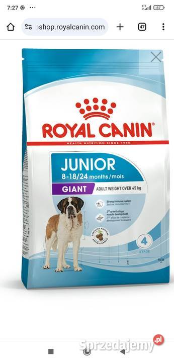 Karma sucha psa Royal Canin junior Kielce