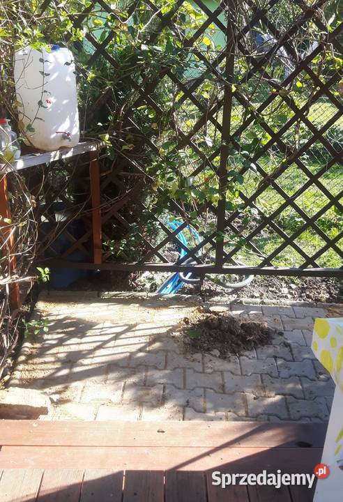 Sprzedam działkę na ROD Stare Stawy Oświęcim małopolskie