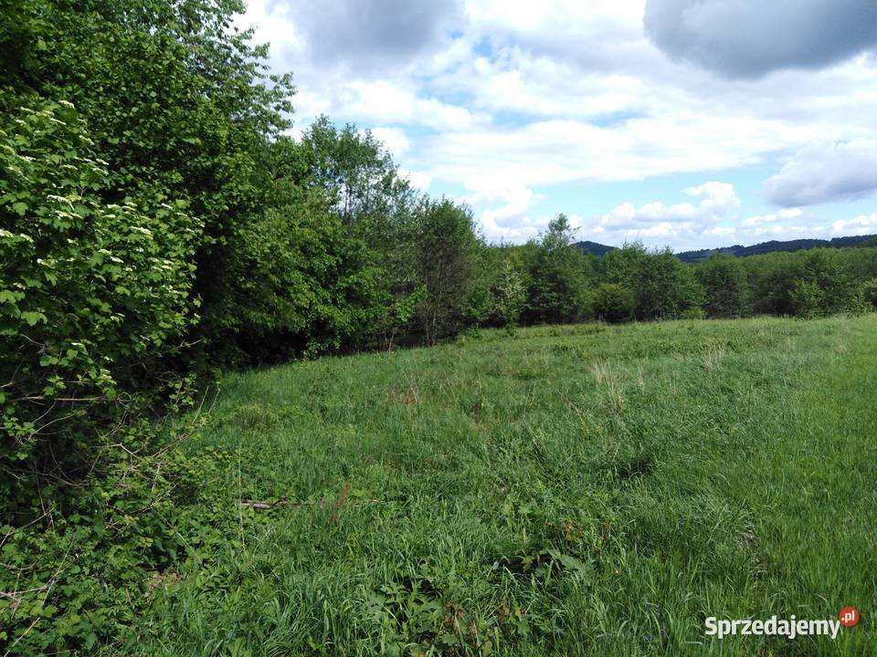 Działka z decyzją o war zabudowy Czarnej Góry Idzików