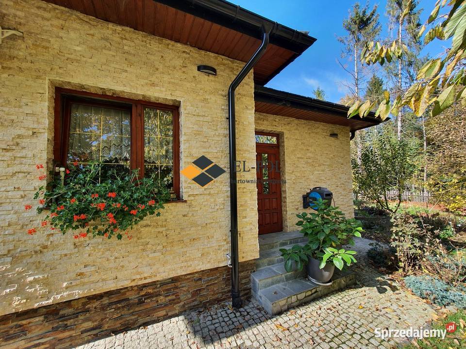 Kamień Naturalny ELEWACYJNY OZDOBNY DEKORACYJNY małopolskie Chełmiec