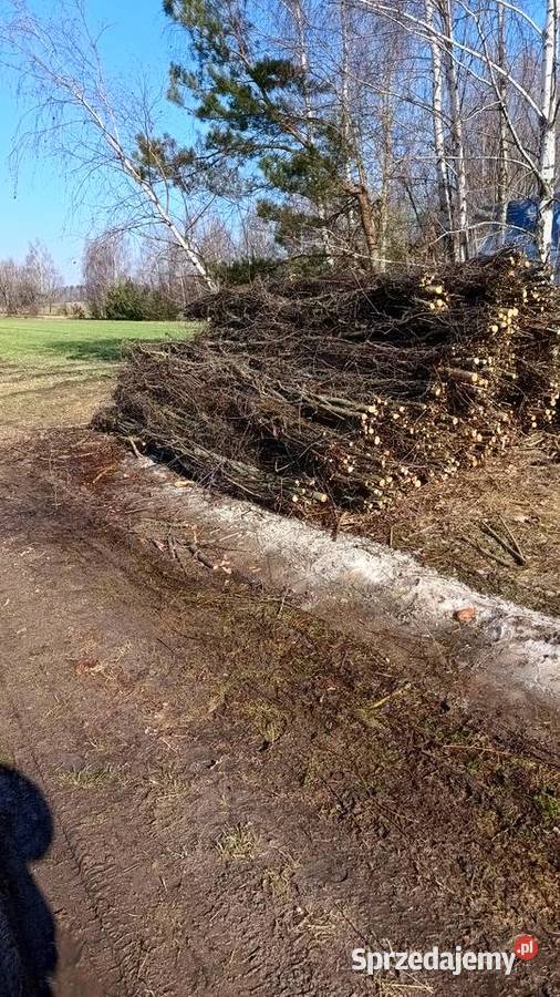 Faszyna leśna kiszka faszynowaKolki mazowieckie