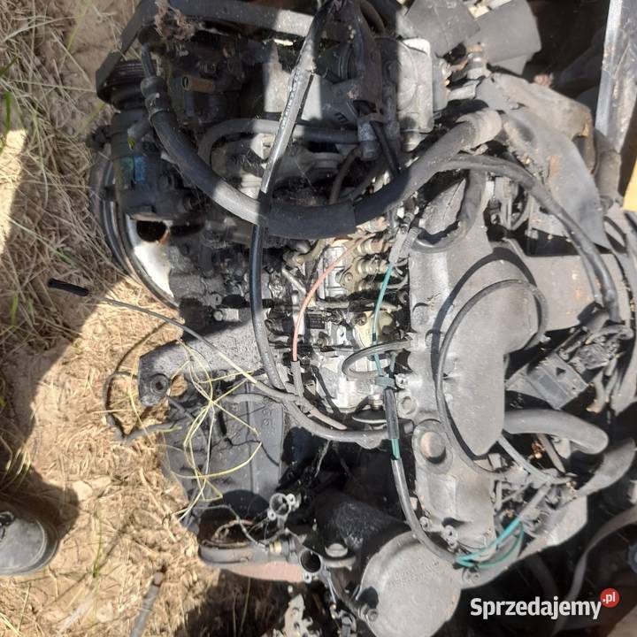 Silnik kompletny 23 td 29 td Daewoo Musso Silniki kompletne Frampol