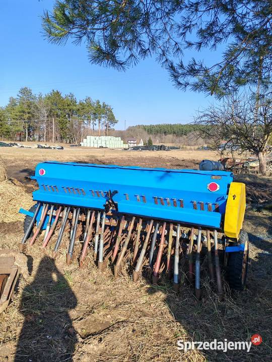 Siewnik poznaniak podlaskie Suwałki