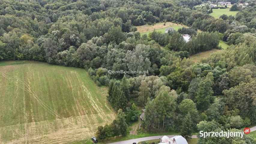 Działka Chronów 2400m2 sprzedam