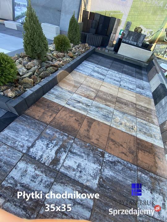 Forbet Kostka BrukowaZENOTytan Piryt Muszla świętokrzyskie Kielce