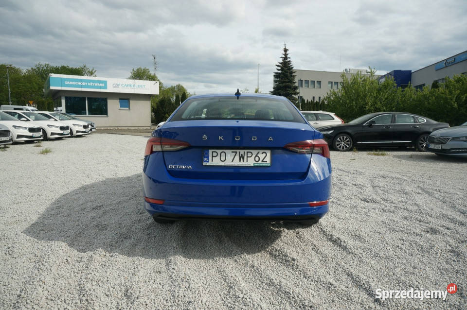 koda Octavia 20 TDI115 Ambition Salon Fvat 23 Poznań
