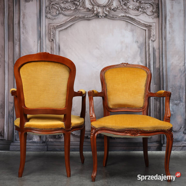 ARTexpert Para foteli Filip Ludwik fotel Dobrzany