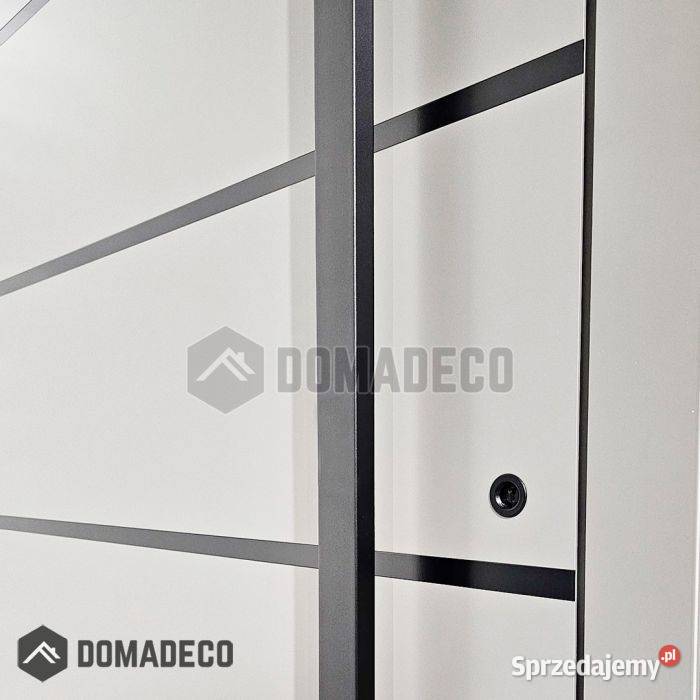 PIVOT AP04 drzwi pivot Reynaers Masterline 8 mazowieckie Warszawa