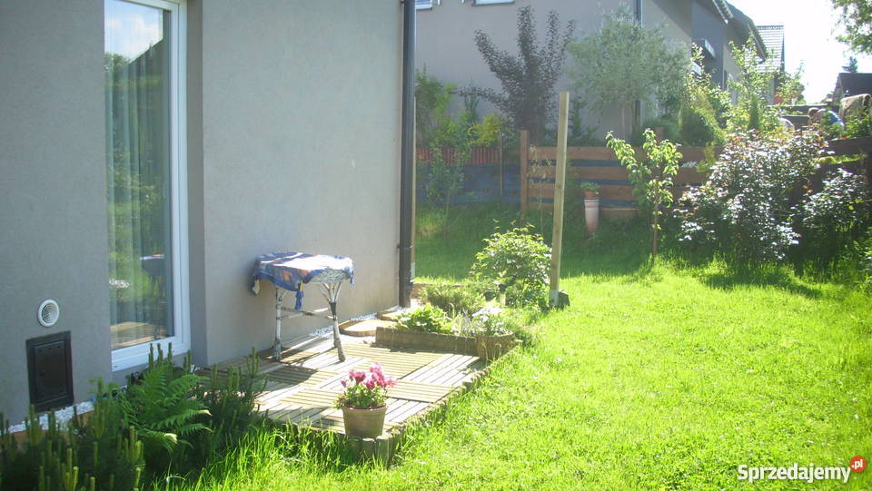 dom do zamieszkania żywopłot małopolskie