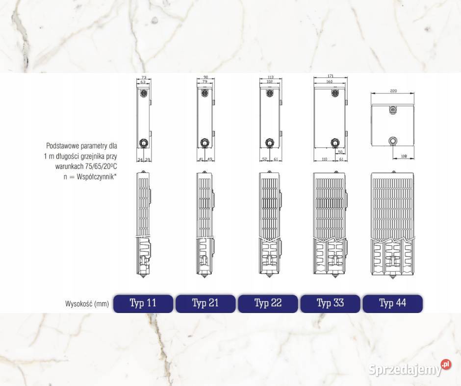 Grzejnik dekoracyjny Stelrad Planar P22 60 x 100 Bydgoszcz