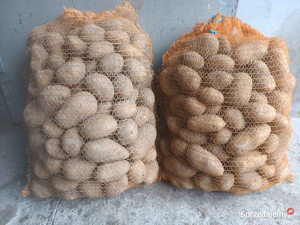 Ziemniaki jadalne Queen Anna