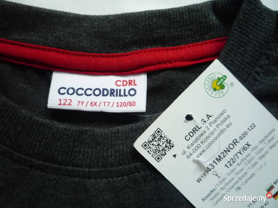 Nowa Coccodrillo 122 Szara Bluzka Kolorowy Szczecin