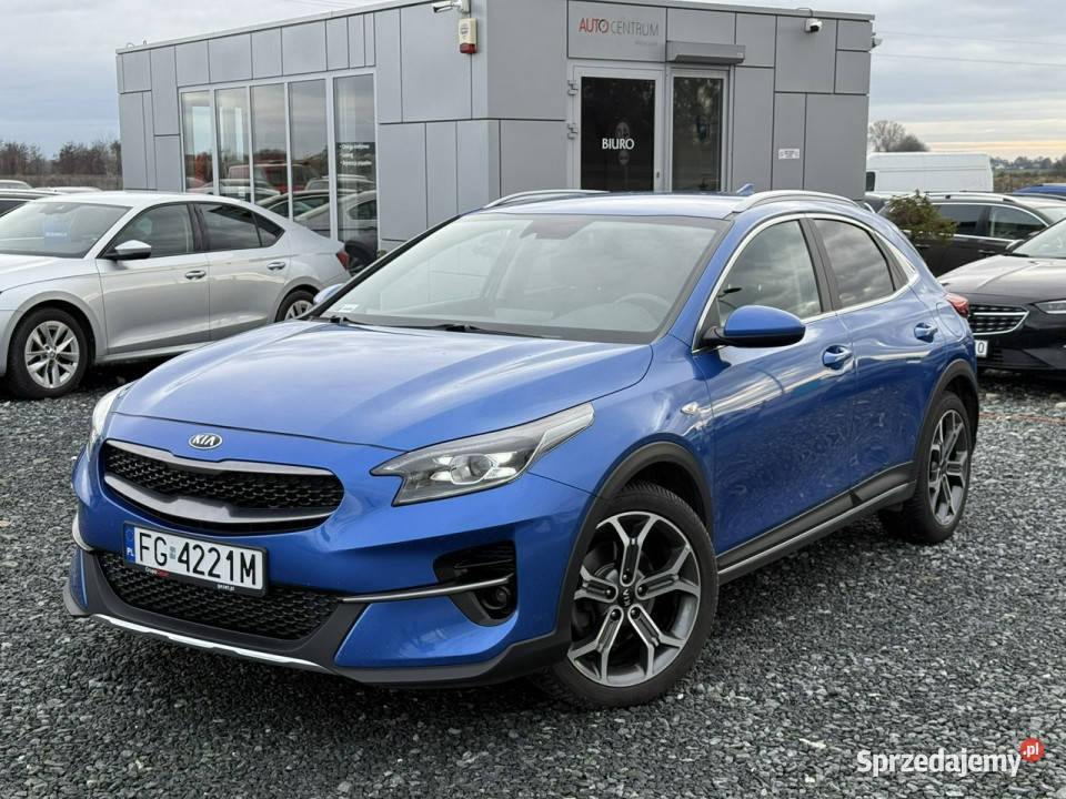 Kia XCeed 15 16V TGDI 160 2021r MSmart 105 Salon Zarejestrowany w Polsce XCeed dolnośląskie Wojkowice